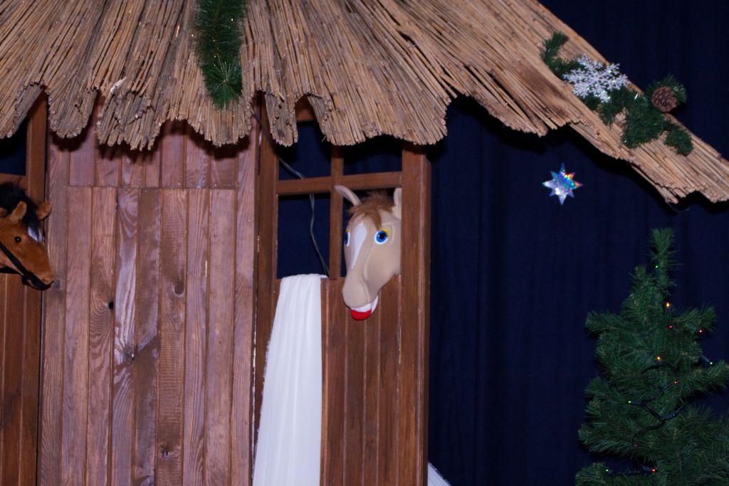 Świąteczne gotowanie Szczęście w cichą noc Anny Ficner Ogonowskiej czyta się jednym tchem. To magiczna opowieść o Świętach, miłości i wybaczaniu.