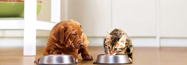 NAJLEPSZE OFERTY DO KOŃCA MARCA! Dla psów Dla kotów Real Nature 5 kg Sucha karma z najwyższej jakości składników, bez sztucznych dodatków. 1 kg = 31,80 zł od59 99 MultiFit 12 kg Sucha karma.