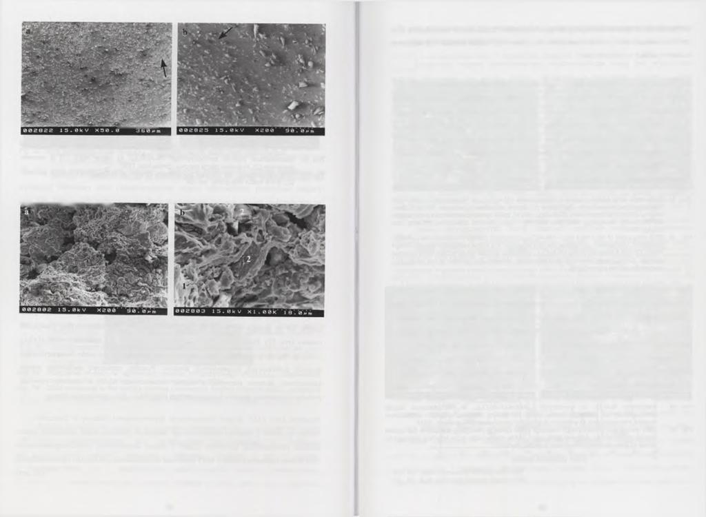 deglomeracji [W-36 - W-42], Ponadto, w odlewach zawierających proszek kompozytowy metodami metalografii ilościowej wykazano zwiększenie jednorodności rozmiarów ziarna osnowy i równocześnie brak