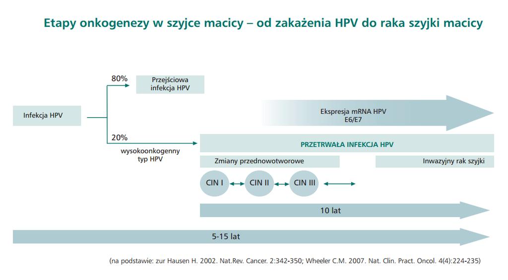 Przykład: HPV Monitorowanie