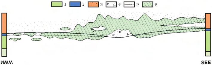 11 Rys. 2.3. Rozmieszczenie miedzi w profilach pionowych serii z³o owej (Piestrzyñski 1996) Fig. 2.3. Location of copper in vertical profiles of deposit series (Piestrzyñski 1996) Rys. 2.4.