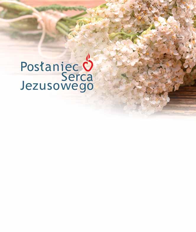 ukazuje się w Polsce od 1872 r. wspólna publikacja z Posłańcem Serca Jezusa (ukazuje się w USA od 1917 r.) miesięcznik Apostolstwa Modlitwy redaktor naczelny: ks.