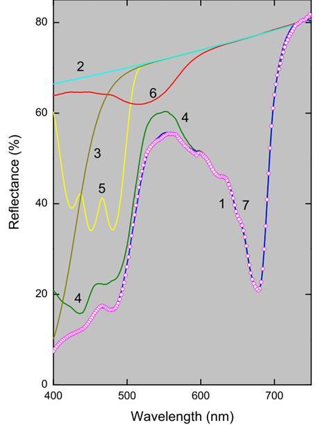 2 rozpraszanie, 3- flavonoidy, 4- związki chlorofilowe, 5- karotenoidy