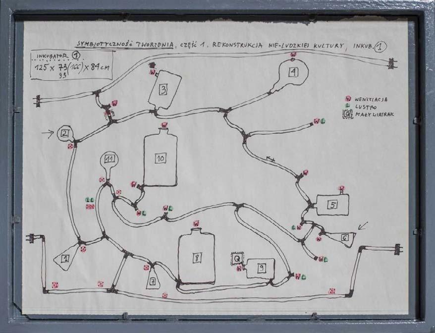 17 Czarnecki) Schemat komunikacji - Inkubator nr 1 - rysunek na papierze; format 38 x 29 cm (rama 42,5 x 32,5 cm)