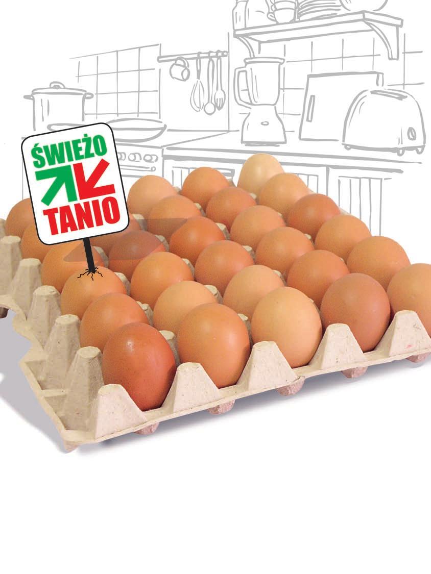 TANIO STREFA TANIO STREFA TANIO od JAJA KLASA S CZACHOROWSKI 10