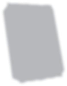 rodzynki-orzechy 40 g 2,73
