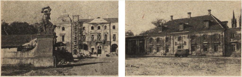 atorskich w r. 1950.