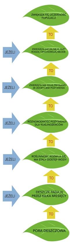 Przebieg lekcji FAZA WSTĘPNA Nauczyciel przedstawia temat i cele lekcji. Przypomina uczniom, że podczas projekcji mieli zwrócić uwagę na znaczenie wody w przyrodzie i jej wpływ na życie organizmów.