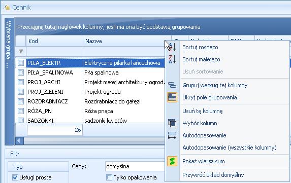 Pod prawym przyciskiem myszy w sekcji kolumn są dostępne opcje: sortowania, grupowania, usuwania, autodopasowania kolumn oraz przywracania układu domyślnego: Rys 13.