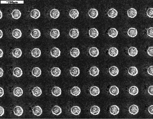 Kształtowanie własności eksploatacyjnych pary ślizgowej 17 L.P. Średnica wgłębienia 2r p [µm] Tab. 4.