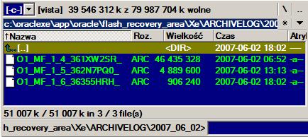 Wyrónia si dwa rodzaje plików dziennika powtórze: aktywne (online redo log files) i zarchiwizowane (archived redo log files).