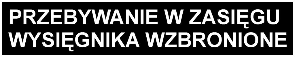 Wyłączyć silnik i wyjąć kluczyk przed rozpoczęciem czynności obsługowych lub