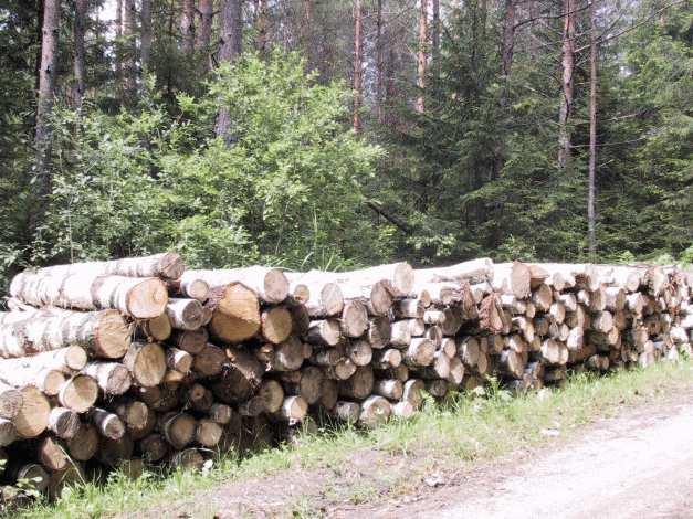 jednogatunkowym w porównaniu z drzewostanem