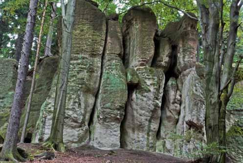 photo Marek Doktor Rocks. Parallel to the above fault, at a distance of about 200 m to the southwest, another fault cuts the block of the Gorzeszów Rocks on the opposite side.