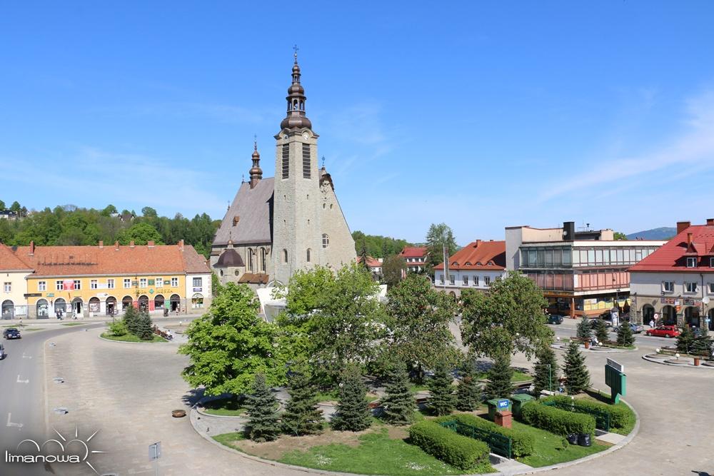 Wśród wielu osobliwości przyrodniczych okolic Limanowej można wymienić: rzadko spotykany w Karpatach podwójny grzbiet Łysej Góry nad Limanową, liczne stanowisko brzozy ojcowskiej na górze Szkiełek