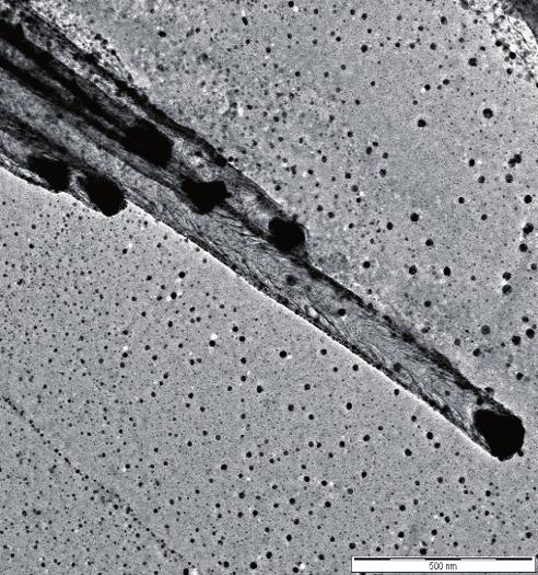 Porównanie oporu ruchu t oków pokrytych warstw nanorurek w glowych z 217 30 10