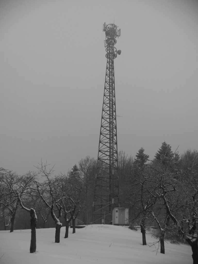 przestrzennie stęŝone). Trzon kratowy podzielono na dziewięć segmentów montaŝowych o wysokości 3,890m dolny oraz 5,835m pozostałe. Wszystkie elementy konstrukcji wykonano ze stali węglowej St3SY.