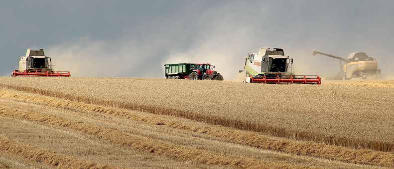 4 kroki do jakości Mirosław Zmierczak, Zarządca Gospodarstwa Rolnego Rakoszyce, Wiceprezes Zarządu Polmar Agro Sp. z o.o. w Ciechowie, woj.