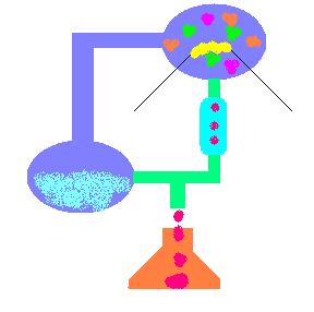 Astrobiologia c.d.