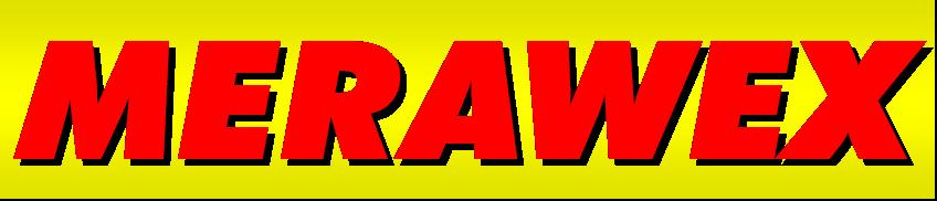 DTR ZSP25-DRV-MS nr 0476.00.91-03.0 Strona 1 z 11 MERAWEX Sp. z o.o. 44-122 Gliwice ul. Toruńska 8 tel. 032 23 99 400 fax 032 23 99 409 e-mail: merawex@merawex.com.