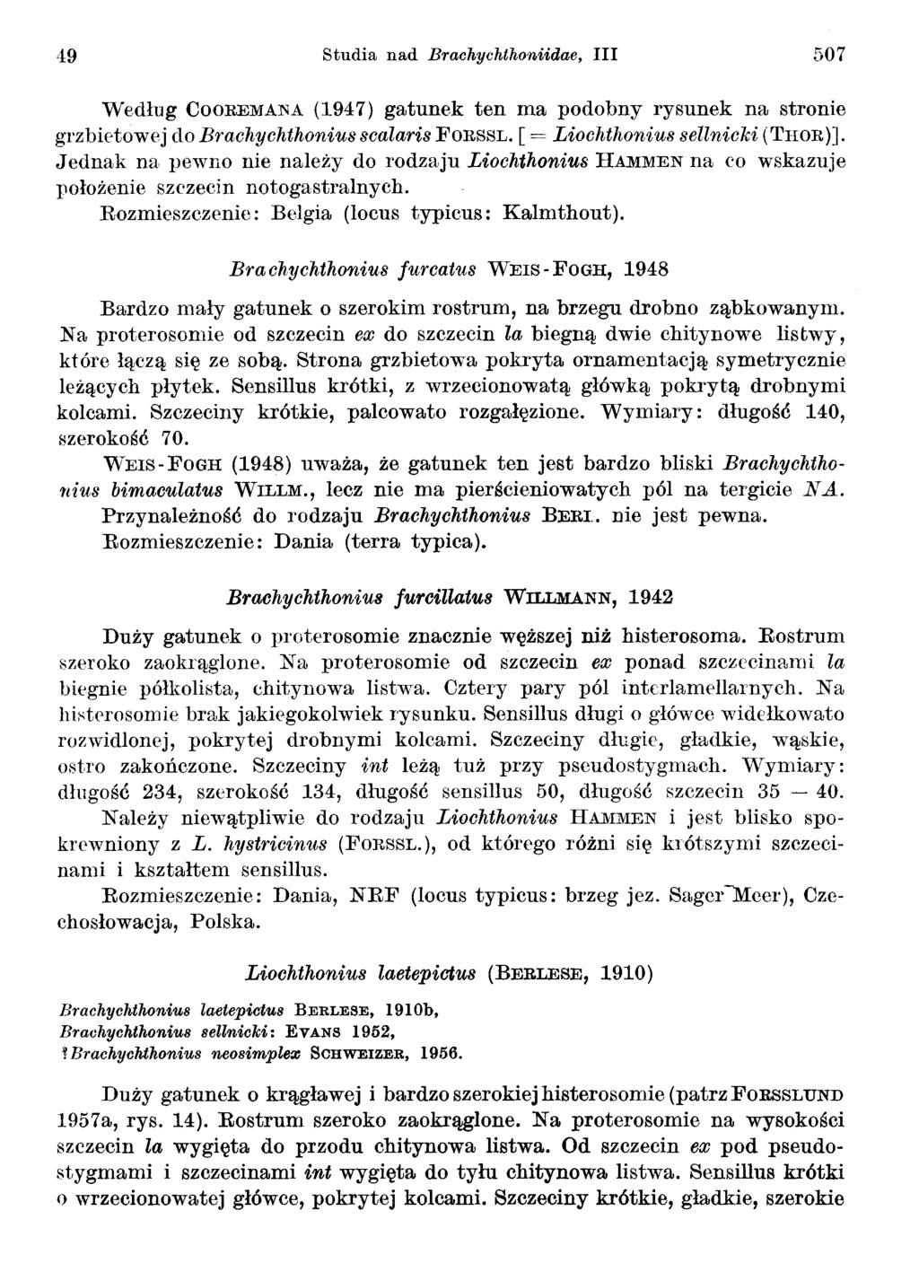 Studia nad Brachychthoniidae, III 507 Wedlug COOREMA:NA (1947) gatunek ten ma podobny rysunek na stronie grzbietowej do Brachychthonius scalaris FORSSL.[ = Liochthonius sellnicki (THOR)].