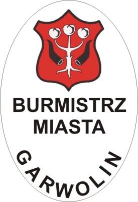 Załącznik nr 3 do Statutu Miasta Garwolin Wzór graficzny flagi Garwolina (w skali