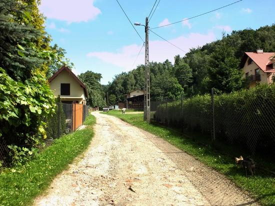 Wkrótce potem po minięciu niewielkiego zagajnika znów wyprowadza trzymając się krawędzi lasu na obrzeża obszernej łąki.