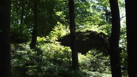 Podążając do góry, mozolnie zdobywając wysokość, po kilkunastu