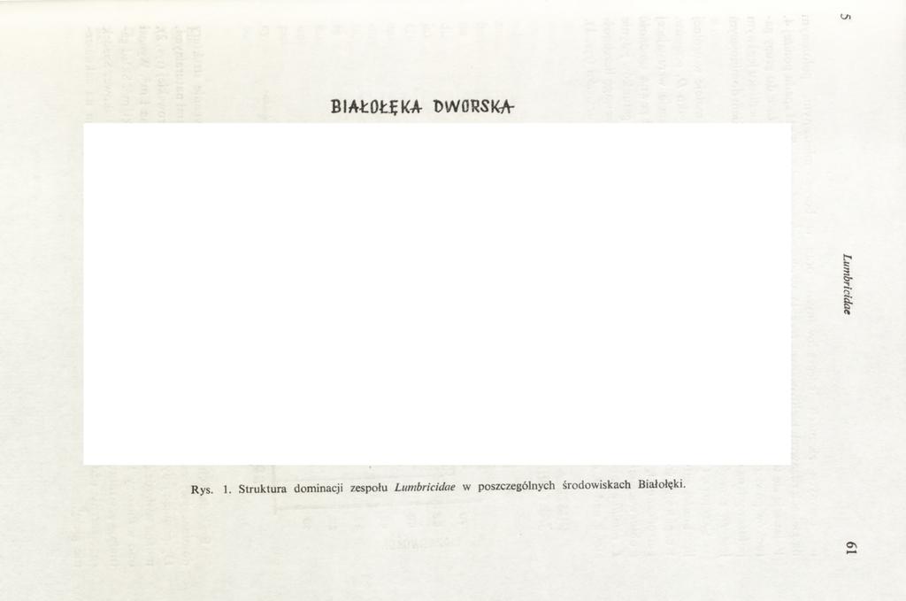 BIAŁOŁĘKA DWORSKAoS 80 ŚRODOWISKO OLSZy