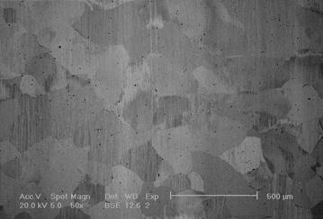 2. FeAl16 alloy s microstructure after heat treatment; a - 850 C, b - 900 C/30 min Stop FeAl16-Mo po obróbce plastycznej na gorąco charakteryzuje się zróżnicowaną wielkością ziaren;