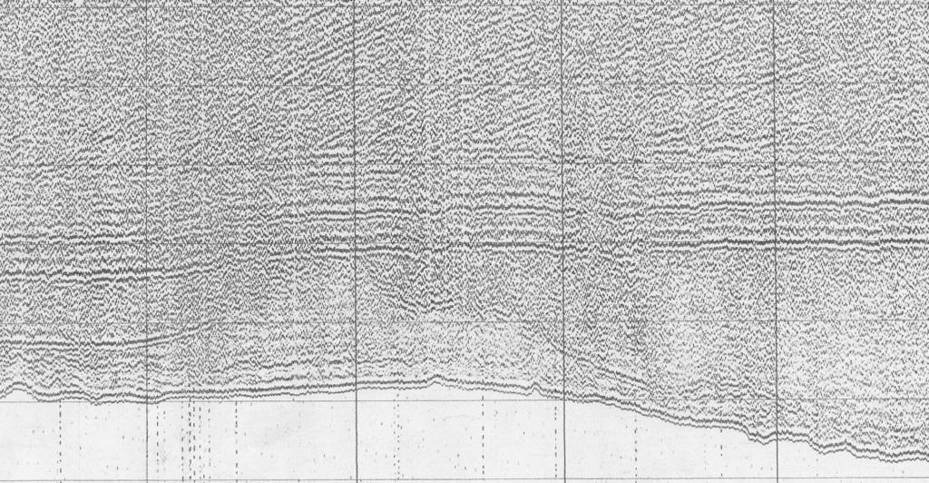 Przegl¹d Geologiczny, vol. 50, nr 8, 02 ms 45 NW SE 50 R y n n a S ³ u p s k a 55 65 Ryc. 1.