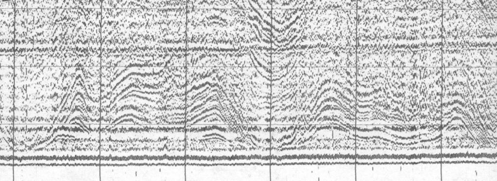 Przegl¹d Geologiczny, vol. 50, nr 8, 02 t ms NNE Z a t o k a P o m o r s k a SSW 3 