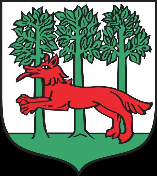 Burmistrz Miasta i PROGRAM