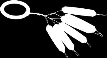 black/white 02 12 800 -