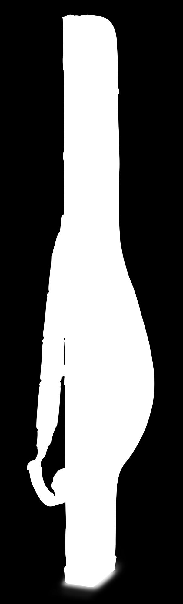 sbirolino.