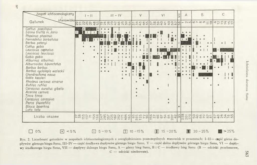 i c h tio c e n o lo g ic z n y I - II III - IV V VI > A B c G a i u n e k ^ ^ i j ^ * 0 C ołiu s poecilopus Salm o brutta m.
