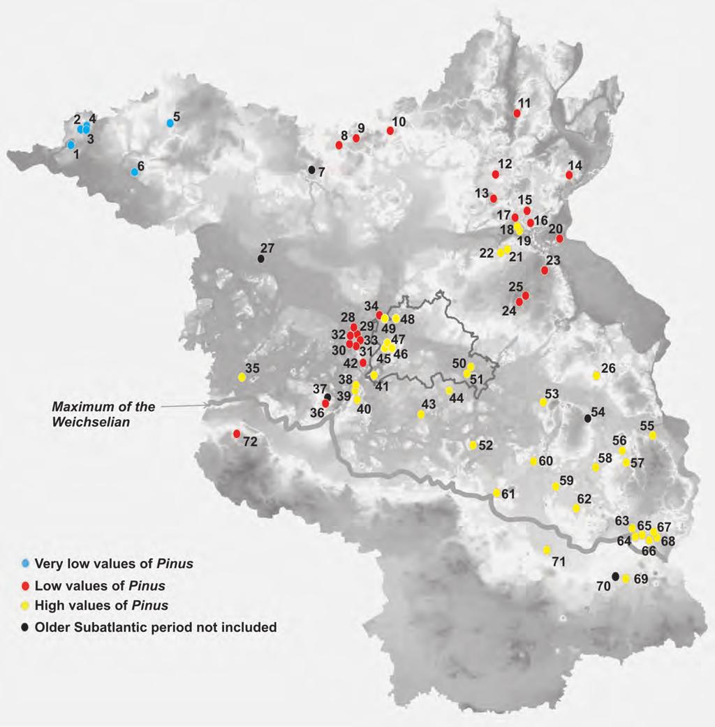 A small excursion on human impact as reflected in the pollen diagrams of Brandenburg Fig. 14. Frequencies of pine in the Older Subatlantic in Brandenburg and Berlin.