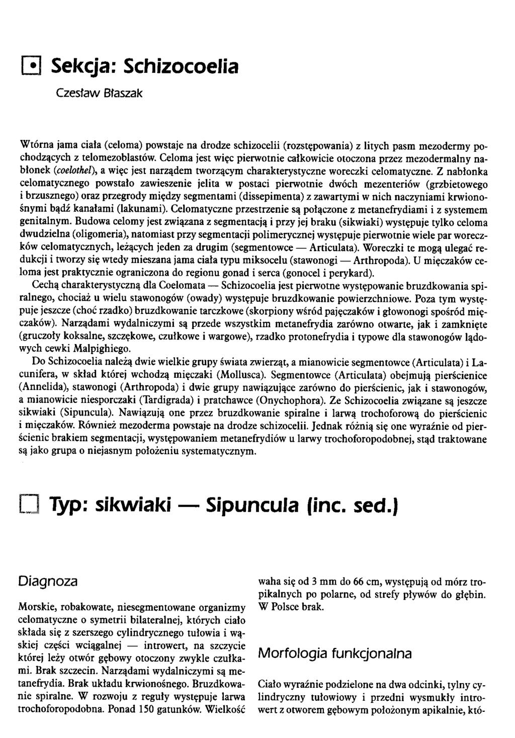 Sekcja: Schizocoelia Czesfaw Bfaszak Wtorna jama data (celoma) powstaje na drodze schizocelii (rozst?powania) z litych pasm mezodermy pochodzqcych z telomezoblastow. Celoma jest wi?