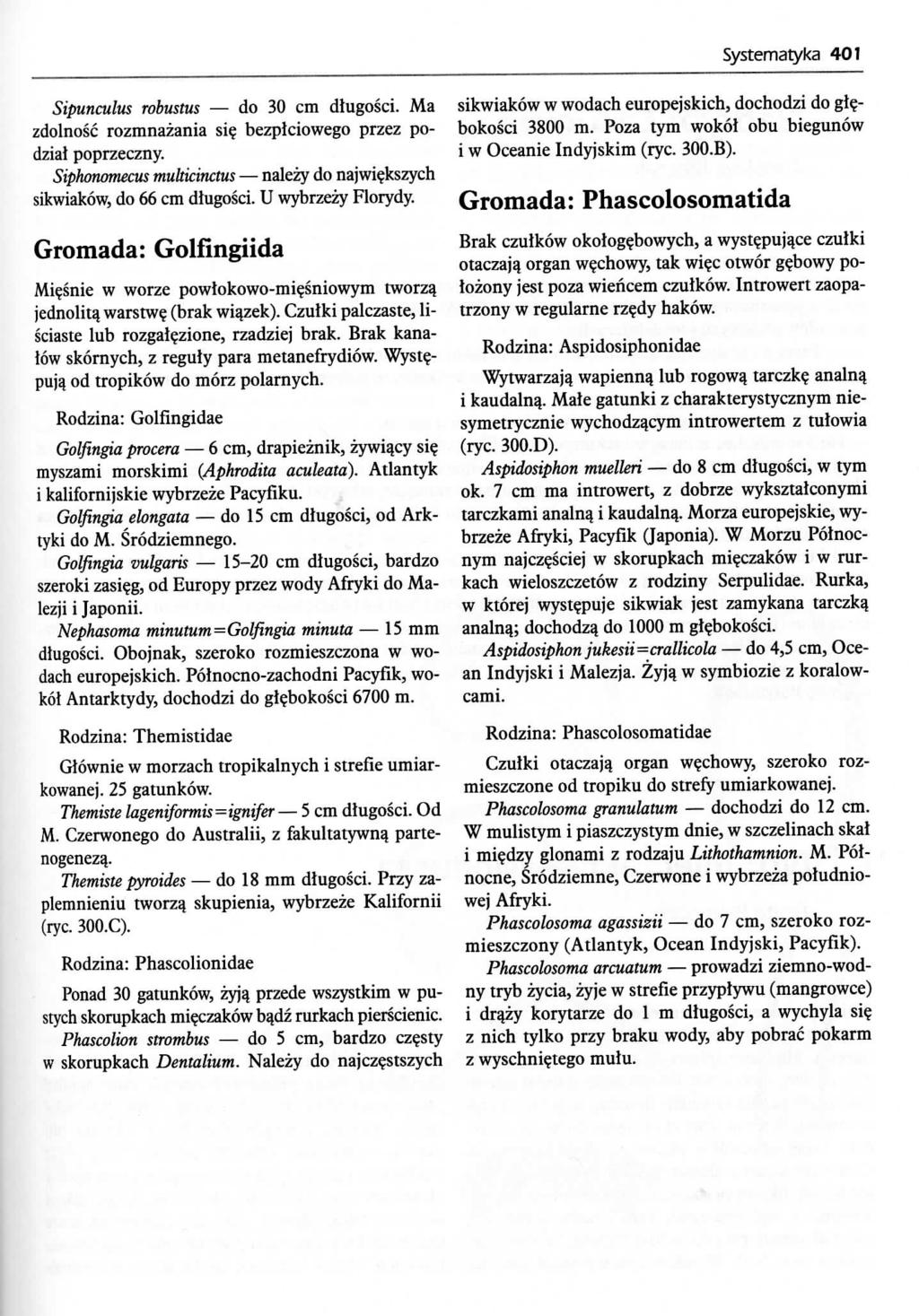 Systematyka 401 Sipunculus robustus do 30 cm dlugosci. Ma zdolnosc rozmnazania si? bezplciowego przez podzial poprzeczny. Sipkonomecus multidnctus nalezy do najwi?kszych sikwiakow, do 66 cm dlugosci.