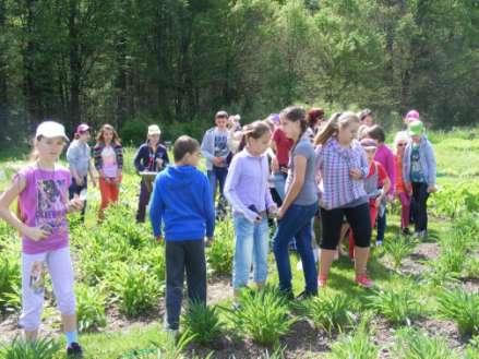 W ogrodzie botanicznym dzieci z oddziału przedszkolnego