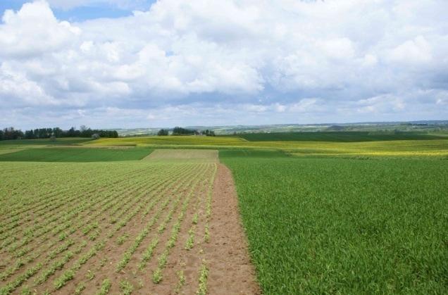 Działania adaptacyjne w gospodarstwie Uprawa roli: Redukcja ilości orek Uprawy bezorkowe Uprawa gleby zwiększająca stopień wykorzystania i retencjonowania wody Optymalizacja wielkości i sposobu