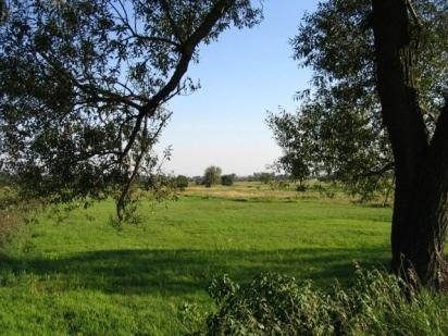 Potencjalne działania mitygacyjne Utrzymać lub zwiększyć zawartość węgla (materii organicznej) w glebie Użytki zielone Grunty orne Zawartość węgla Zmniejszenie z powodu odwodnienia Przed użytkowaniem