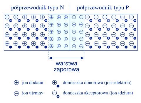 złącze p n Po zetknięciu dwóch kawałków półprzewodnika o różnych rodzajach przewodnictwa zachodzi intensywna dyfuzja nośników w warstwie kontaktowej prowadząca do zubożenia w