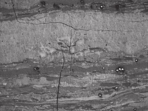 Mining and Environment Próbka węgla z pokładu 615 w KWK Śląsk Analiza składu petrograficznego węgla wykazała duży udział inertynitu i dość małą zawartość liptynitu.