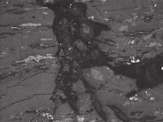 Mining and Environment Fot. 14. Nieprawidłowe spękanie endo- i egzokliważowe w duroklarycie, wypełnione węglanami Photo. 14. Irregular crack endo- and egzocliwadge in duroclarite, filled by carbonates 2.