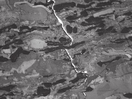 Stairs cracks in virite and duroclarite (inertinite the brightest, liptinite the darkest, in vitrinite substance) Próbka węgla z pokładu 504 w KWK Polska Wirek Węgiel z tej próbki charakteryzował się