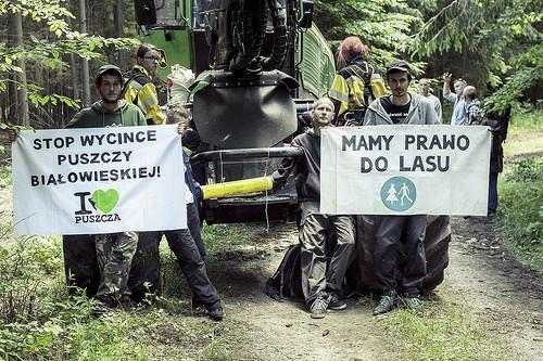 Plan prezentacji Metoda Czemu Puszcza Białowieska jest wyjątkowa?
