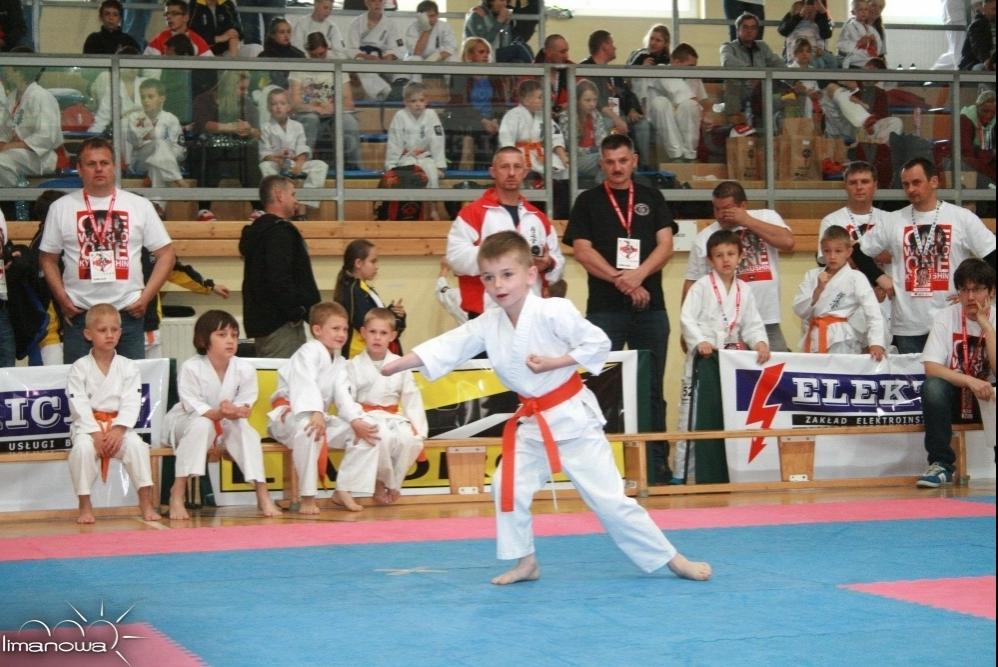W tym roku do rywalizacji sportowej na limanowskich tatami w konkurencjach kata i kumite przystąpiło 343 młodych karateka - przedstawicieli różnych światowych organizacji Karate Kyokushin z Biecza,