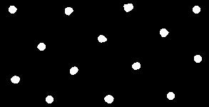 Birkenmajer et al., 2004).
