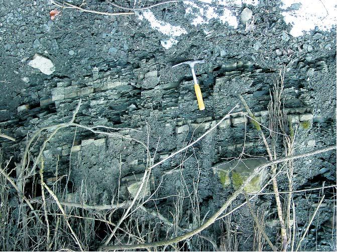 Outcrops of the Szlachtowa Formation (Grajcarek Succession) in the lower course of the Krupianka Creek (A C) and in the lower course of the Sztolnia Creek (D).